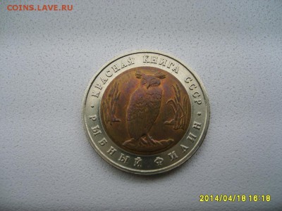СССР,5 рублей 1991г(Красная Книга,рыбный филин)!до 20.04 - S6000024.JPG