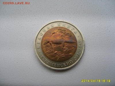 СССР,50 рублей 1993г(Красная Книга,турк-й зублефар)!до20.04 - S6000028.JPG