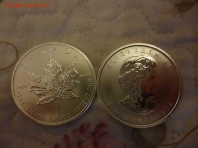Куплю канадские серебряные доллары - P1060794