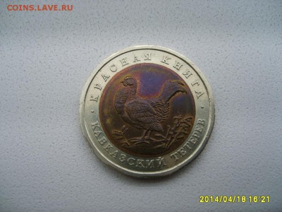 СССР,50 рублей 1993г(Красная Книга,Кавказ-й тетерев)!до20.04 - S6000040.JPG