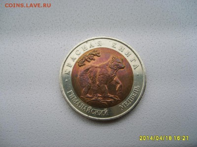 СССР,50 рублей 1993г(Красная Книга,Гимал-й медведь)!до20.04 - S6000038.JPG