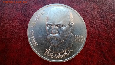 Райнис с гладким гуртом - WP_20140419_009