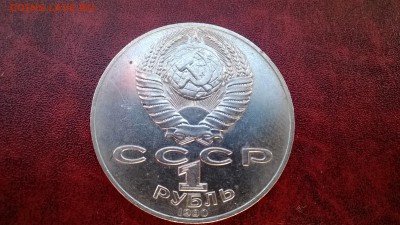 Райнис с гладким гуртом - WP_20140419_011