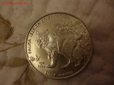 Монеты с представителями семейства кошачих - P1060795