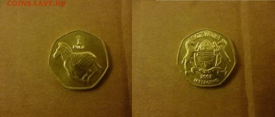 ДК Ботсвана 1 пула Зебра 25.04 - P1060511.JPG