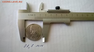 Райнис обычный31,1 мм - WP_20140419_019