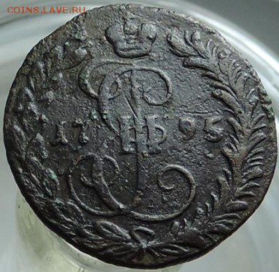 денга 1795 г. КМ Редкая до 22 час. 24.04.2014 г. - DSCN9781.JPG