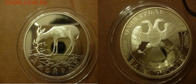 ДК Россия 1 рубль Джейран Серебро 25.04 - P1060641.JPG