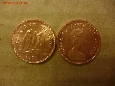 ДК Фокленды 1 пенни Пингвины ФИКС 25.04 - P1050887