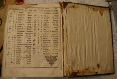 Лексикон Треязычный, декабрь 1704 года, Словарь - Z4