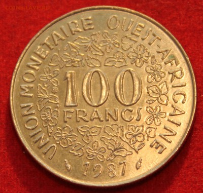 С рубля АФРИКАНСКИЙ СОЮЗ 100 франков 1987г. до 26.04.14г. - IMG_1716.JPG