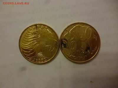 ДК Эфиопия 10 центов Бык ФИКС 26.04 - P1050897