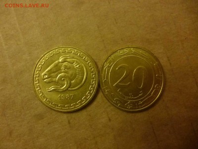 ДК Алжир 20 сентим Барашек ФИКС 26.04 - P1050919