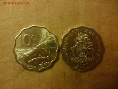 ДК Багамы 10 центов Рыбы ФИКС 26.04 - P1050933