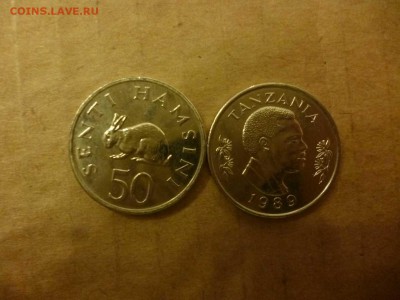 ДК Танзания 50 сенти Заяц ФИКС 26.04 - P1050937