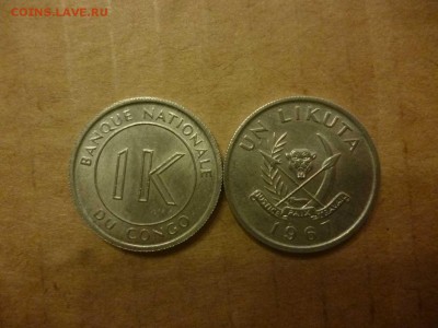ДК Конго 1 ликута ФИКС 26.04 - P1050943