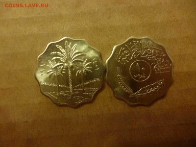 ДК Ирак 10 филсов Пальмы ФИКС 26.04 - P1050964