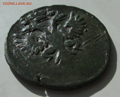 Денга, 1731г.,перечекан из рамочной копейки. - IMG_3399 - копия.JPG