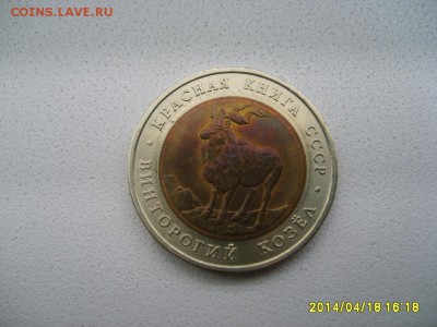 СССР,5 рублей 1991г(Красная Книга,винтор-й козел)!до 23.04 - S6000026.JPG