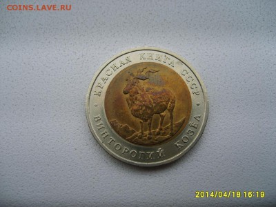 К.Книга,винтор-й козел)!до 23.04 - S6000032.JPG