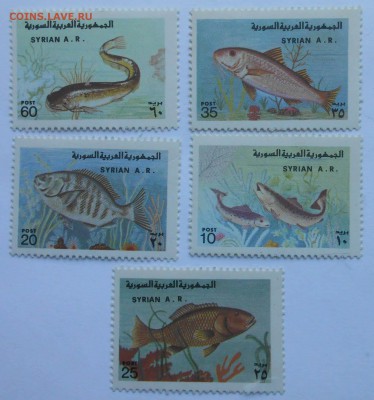 марки на оценку - DSCN1855.JPG