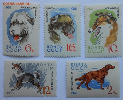 марки на оценку - DSCN1859.JPG