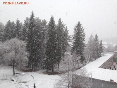 перекличка городов по температуре - фото.JPG