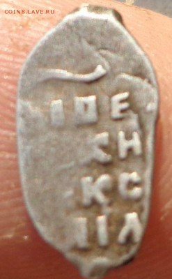 6 чешуек определение - DSC00861.JPG