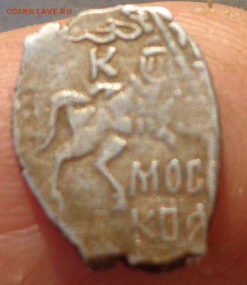 6 чешуек определение - DSC00864.JPG