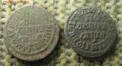 копейка 1713г., полушки 1703, 1707 гг. - IMG_6628.JPG