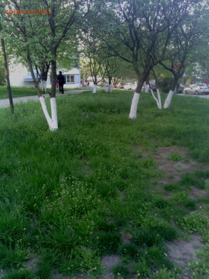 Ну а теперь про Украину - IMG_20140424_175311