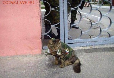 Ну а теперь про Украину - 621