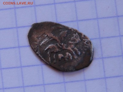 Василий 3 на оценку - P1020584.JPG