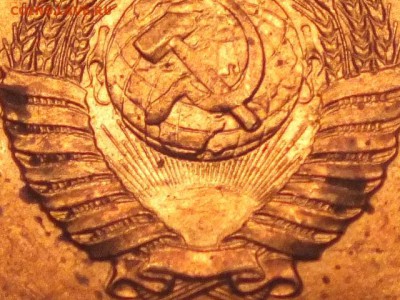 1 копейка 1989 года узкие ленты перевязи. - DSCF5639