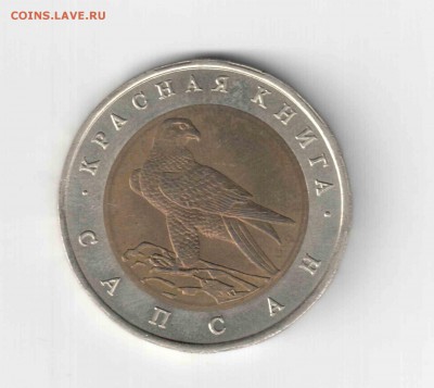 Красная книга 94 год, Сапсан. - 167