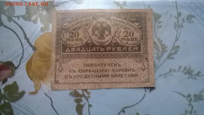 1918-1919 - Изображение 575
