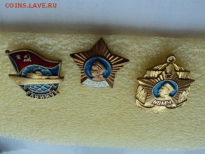 нвму - DSC01610.JPG