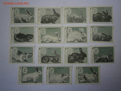 Этикетки от спичечных коробков на оценку. - P4290023.JPG