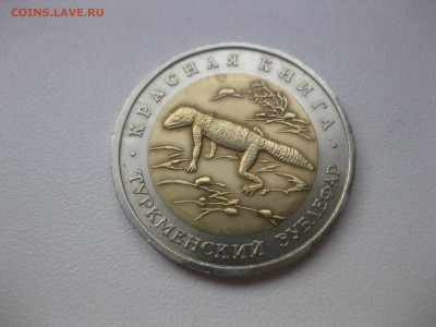 СССР,50 рублей 1993г(Красная Книга,турк-й зублефар)!до30.04 - IMG_0053.JPG