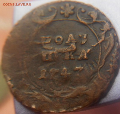 полушка 1747 года - DSCN0211