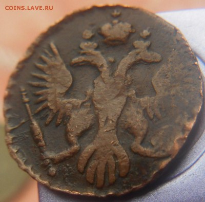 полушка 1747 года - DSCN0212