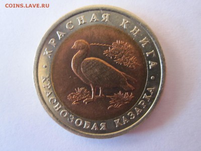 10 рублей Краснозобая казарка 1992 04.05 22:00 - IMG_1758.JPG