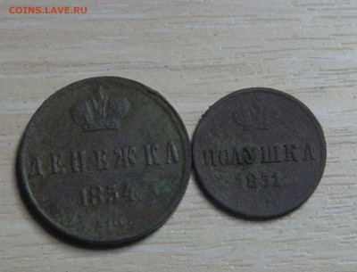 Полушка 1851ем,денежка 1854ем на оценку. - p4290105_Q1