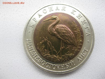 СССР,50 рублей 1993г(К.Книга,Дальневосточный Аист)!до 2.05 - IMG_0122.JPG