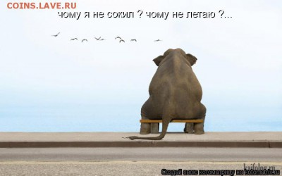 Ну а теперь про Украину - слон и сокол 