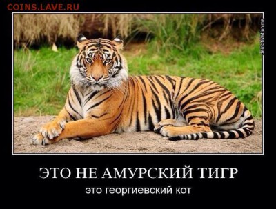 Ну а теперь про Украину - 709