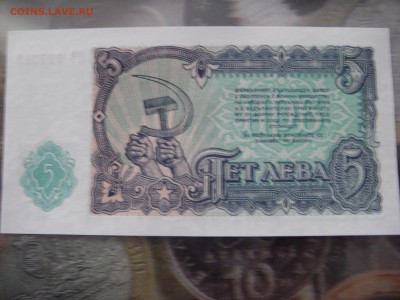 Пет лева - SDC10087.JPG