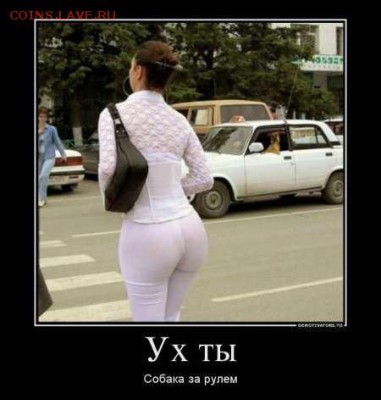 Вид из окна моей секции - 79217388