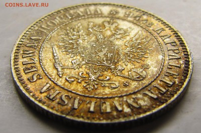 Немного симпатичных финнов на оценку для продажи (пополн.) - IMG_1145.JPG
