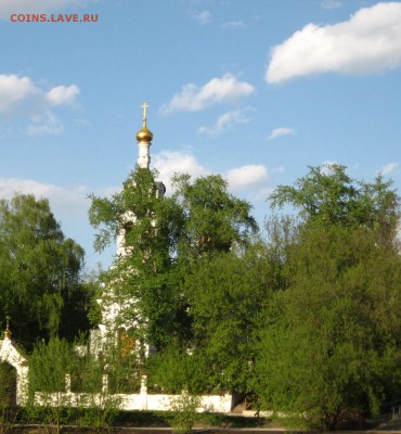 ФОТО - просто фото. Те что получились удачными. - IMG_3625.JPG